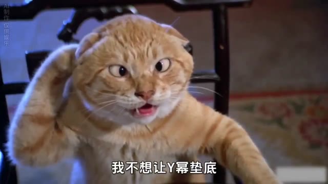 喵了个咪一二合集+少妇白洁番外