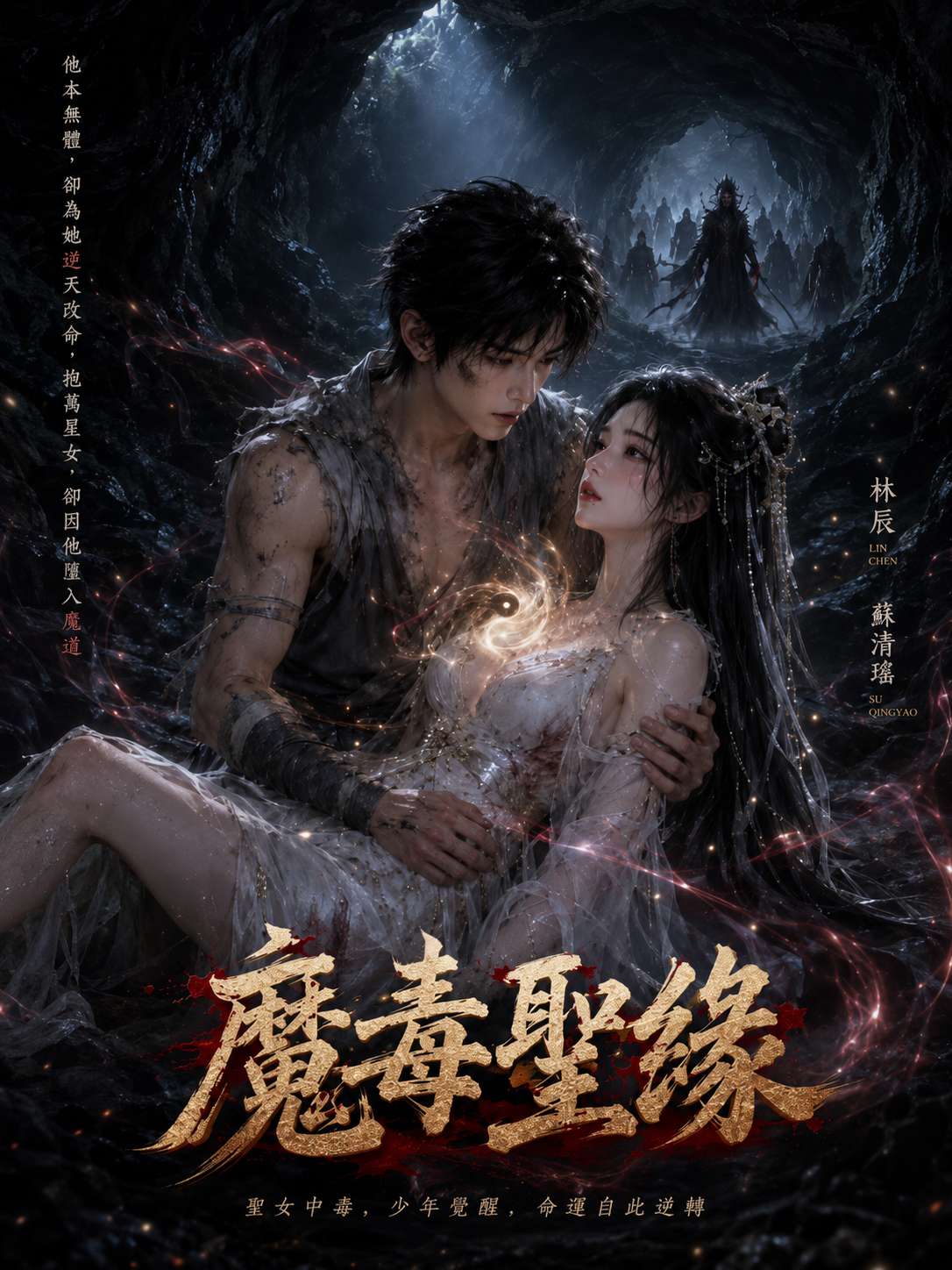 魔毒圣缘海报